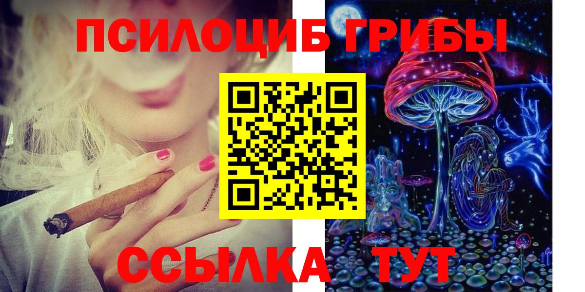 Галлюциногенные грибы мицелий  Псилоцибиновые грибы Psilocybe  Вход с VPN  Нижнекамск 