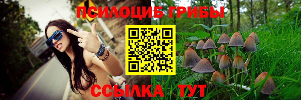 Псилоцибиновые грибы мицелий Нижнекамск